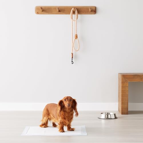 Amazon Basics Leak-Proof Dog and Puppy Potty Training Pee Pads with Quick-Dry 5-Layer Super Absorbent Design, Regular Size 22 x 22 inch, Blue & White, 100 Count