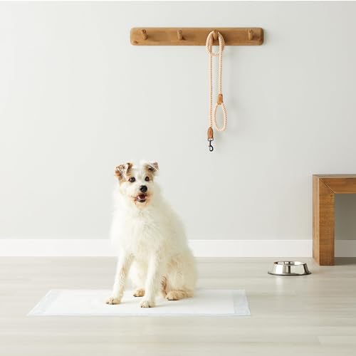 Amazon Basics Leak-Proof Dog and Puppy Potty Training Pee Pads with Quick-Dry 5-Layer Super Absorbent Design, Regular Size 22 x 22 inch, Blue & White, 100 Count