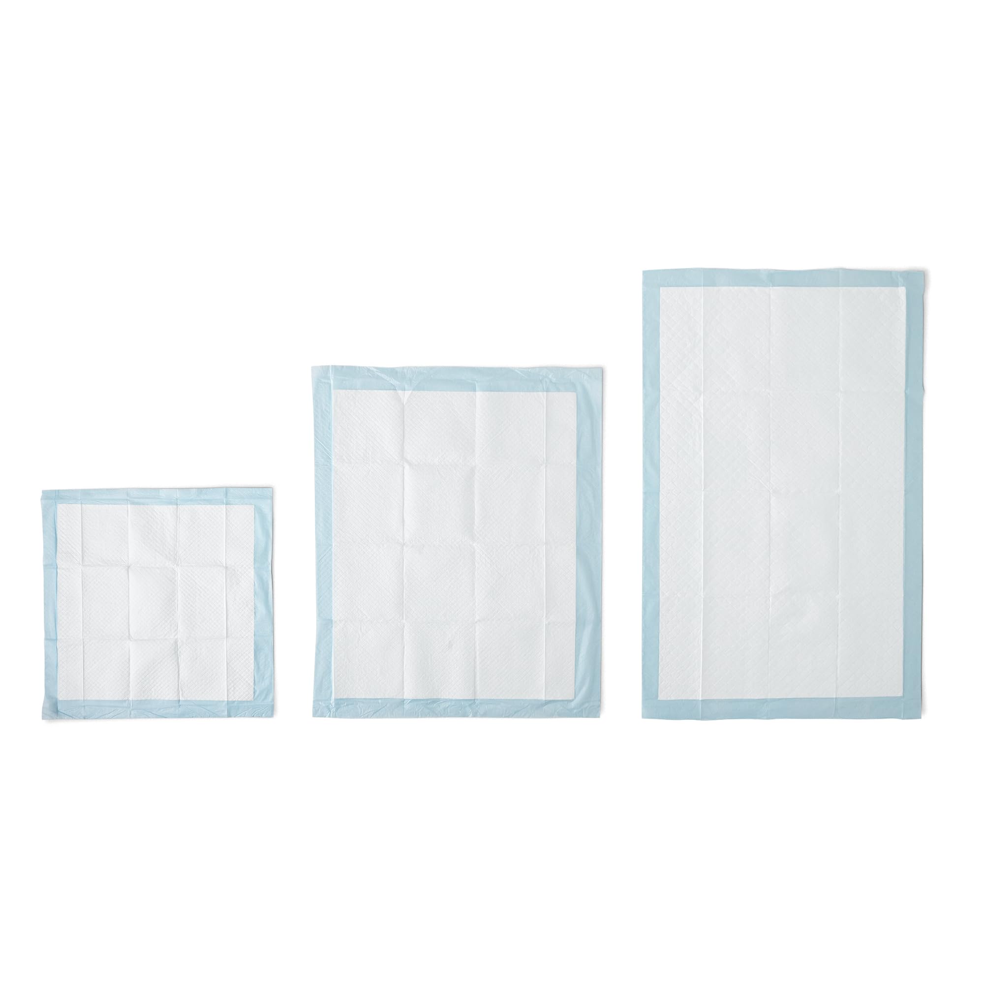 Amazon Basics Leak-Proof Dog and Puppy Potty Training Pee Pads with Quick-Dry 5-Layer Super Absorbent Design, Regular Size 22 x 22 inch, Blue & White, 100 Count