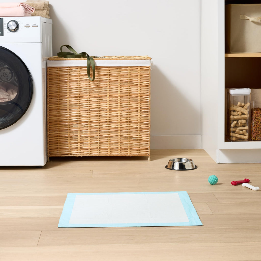 Amazon Basics Leak-Proof Dog and Puppy Potty Training Pee Pads with Quick-Dry 5-Layer Super Absorbent Design, Regular Size 22 x 22 inch, Blue & White, 100 Count