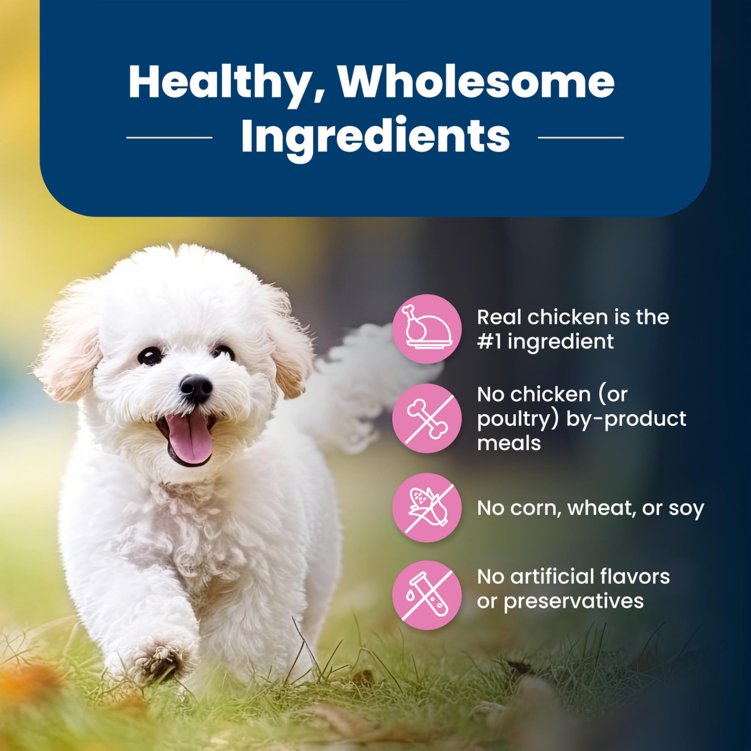 Blue Buffalo Life Protection Formula Adult Dry Dog Food, Helps Build and Maintain Strong Muscles, Made with Natural Ingredients, Chicken & Brown Rice Recipe, 30-lb. Bag